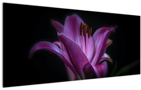 Tablou crinul (120x50 cm)
