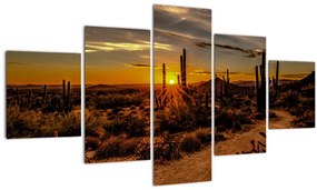 Tablou - Sfărșit de zi în deșertul Arizona (125x70 cm), în 40 de alte dimensiuni noi
