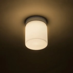 Plafonieră LED pentru baie ESICA LED/6W/230V IP44 RED-Design Rendl-R12199