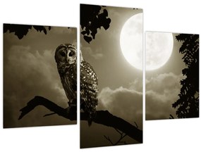 Tablou - Bufniță de noapte, auriu (90x60 cm)