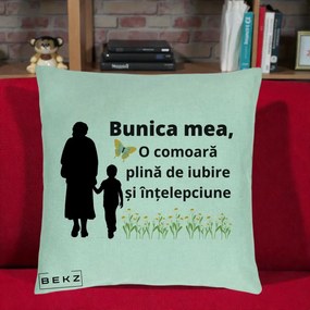Cadou pentru Bunica - Perna Personalizata Bunica Mea Comoara cu Fluture si Baietel, 40x40 cm, Verde Menta, Husa Detasabila, Perna Inclusa, BEKZ®