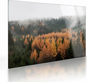 Tablou pe sticlă - Pădure toamna (70x50 cm)