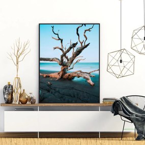 Poster - Shallow (A4)