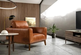 Fotoliu elegant design italian Griselda AC-KF1016-1P