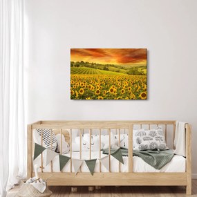 Tablou - Câmp de floarea-soarelui (90x60 cm)