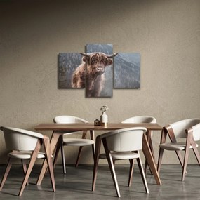 Tablou - Vaca Highlander (90x60 cm)