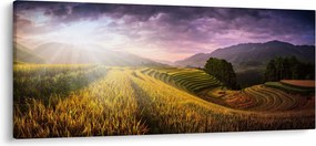 Tablou peisajului (120x50 cm)