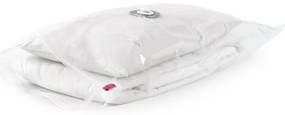 Set saci de depozitare Compactor Bag 80 x 100 cm, 2 buc, transparent