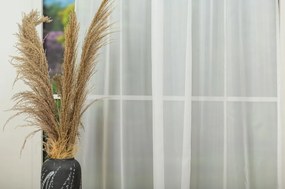 Perdea Voal Crem Luisa R1700 MENDOLA cu Rejansă