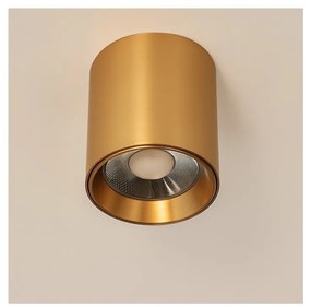 Spot aplicat auriu LED BABIL 10W CCT