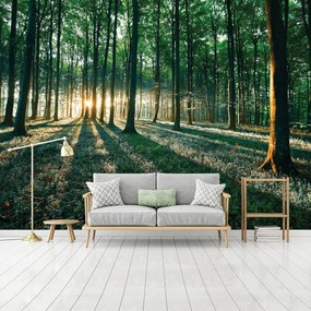 Fototapet - Pădure (254x184 cm)