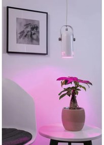 Paulmann 79767 - Lustră LAVEA LED RGBW 1xE27/15W, 230V, pe cablu, albă