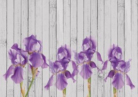 Fototapet - Iris pe scănduri de lemn (254x184 cm)