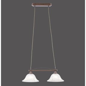 Lustră pe cablu NELLY 2xE14/40W/230V Paul Neuhaus 15242-48