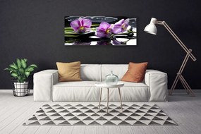 Tablou pe panza canvas Pietrele florale flori roz negru