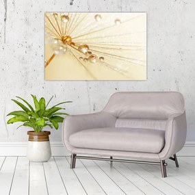 Tablou - Fotografie macro de păpădie (90x60 cm)