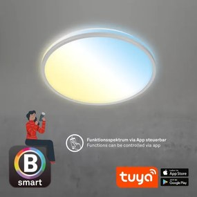 Briloner 3064-014 - Plafonieră LED reglabilă IVY, 24W/230V, Wi-Fi Tuya, Ø33,3 cm + telecomandă