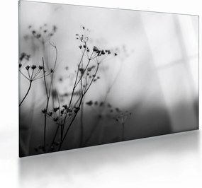Tablou pe sticlă - Detailu florior de luncă (70x50 cm)