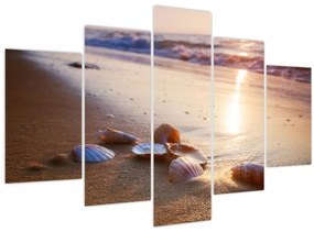 Tablou - Scoici (150x105 cm)