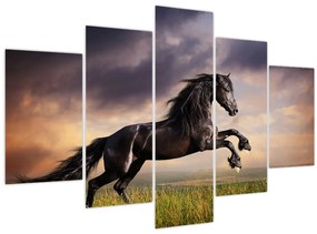 Tablou - Cai (150x105 cm)