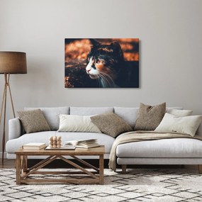 Tablou - Privirea pisicii (90x60 cm)