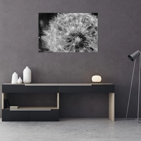 Tablou - mulțime de păpădii (90x60 cm)