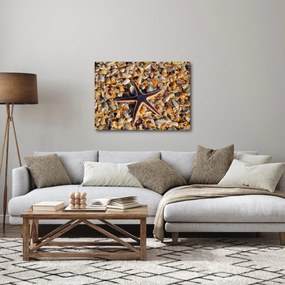 Tablou cu stea de mare (70x50 cm)