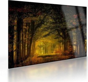 Tablou pe sticlă cu pădure (70x50 cm)