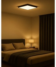 Plafonieră LED, 32 W, 230 V, 3000/4000/6500 K, 40 x 40 cm, negru