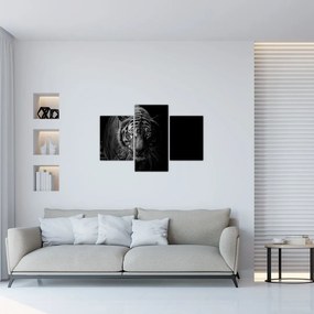 Tablou - Tigru sălbatic (90x60 cm)