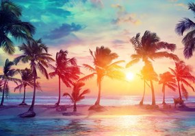 Fototapet - Apus de soare tropical (147x102 cm)