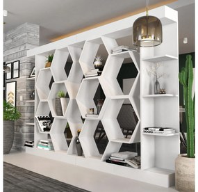 Raft Salix (Alb) . 1102596