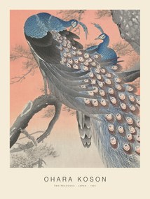 Artă imprimată Two Peacocks (Special Edition) - Ohara Koson copy, (30 x 40 cm)
