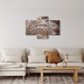 Tablou cu plante (90x60 cm)