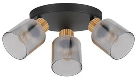 Brilagi - Lampă spot HYGGE 3xE14/15W/230V negru/fumuriu