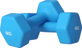 SPORTNOW Set de 2 Greutăți, Gantere Pereche cu Prindere Antiderapantă pentru Antrenament, 6 kg, 22x9x9 cm, Albastru Deschis | Aosom Romania