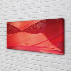 Tablouri canvas Femeia în roșu tul