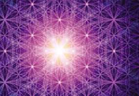 Fototepet - Energia violet (147x102 cm)