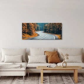 Tablou - Drumul cu serpentine (120x50 cm)