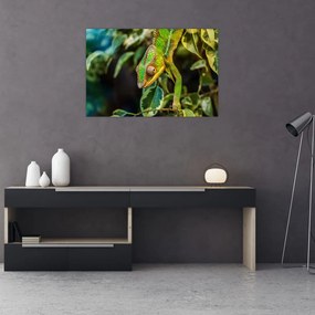Tablou cu cameleon (90x60 cm)