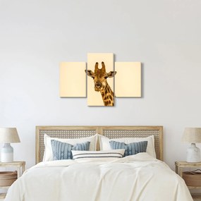 Tablou cu girafe (90x60 cm)