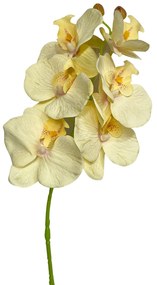 Orhidee artificiala Gloria 70cm, 6 flori, Galben