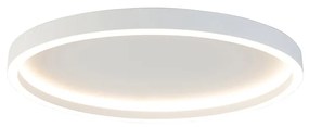 Plafoniera de design alb inclusiv LED - Daniela