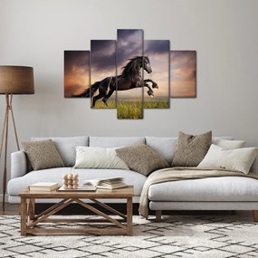 Tablou - Cai (150x105 cm)