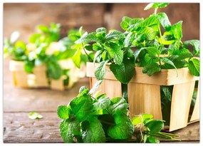 Tablou cu menta proaspătă (70x50 cm)