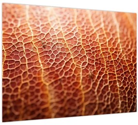 Tablou - Detaliu de textură (70x50 cm)