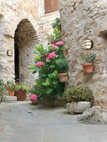 Aplica de exterior LED design decorativ IP65 Neves