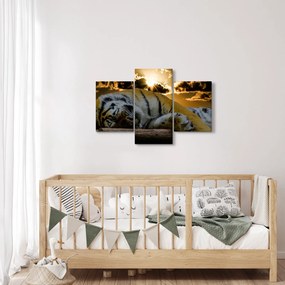 Tablou tigrul dormind (90x60 cm)