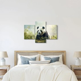 Tablou - Panda (90x60 cm)