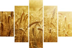 Tablou - Spice de cereale (150x105 cm)